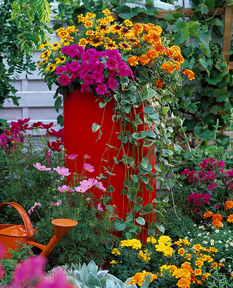 Hoher roter Kunststoffkübel bepflanzt im Blumenbeet