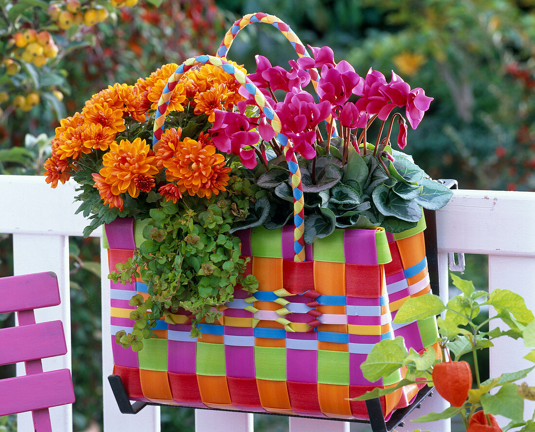 Colorful wicker bag as a flower box
