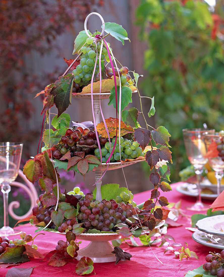 Autumn, table decoration, grapes, wine grapes