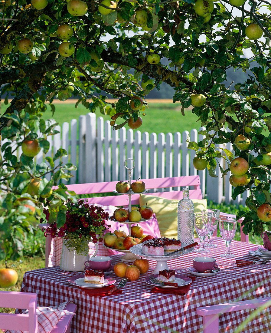 Gedeckter Tisch unter Malus (Apfelbaum)