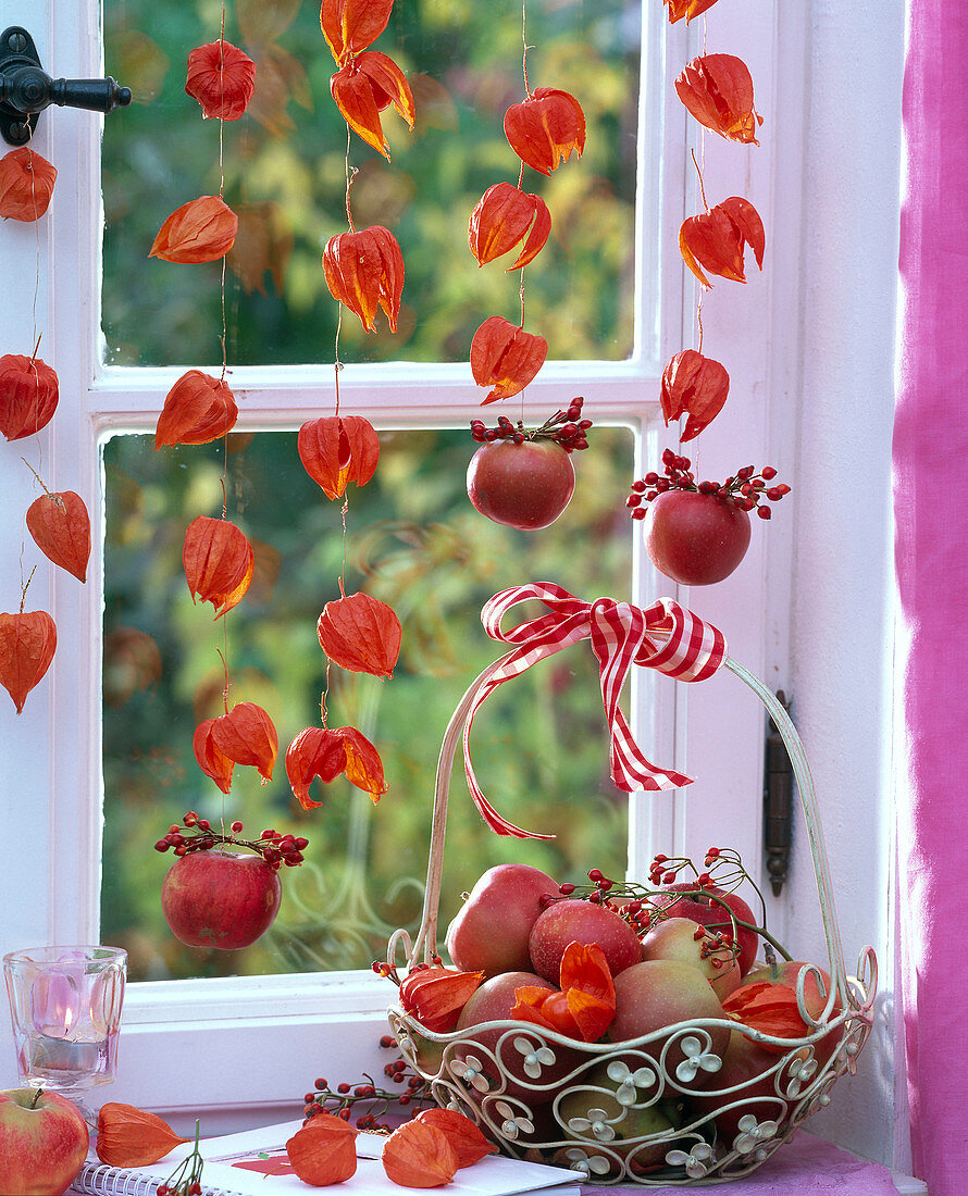 Physalis threaded anf hung on the window, Malus, basket