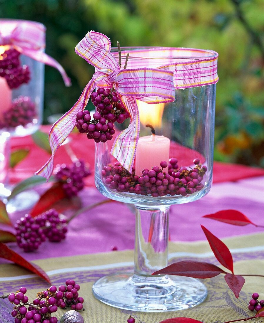 Beeren von Callicarpa (Liebesperlenstrauch) in Windlicht mit rosa Kerze