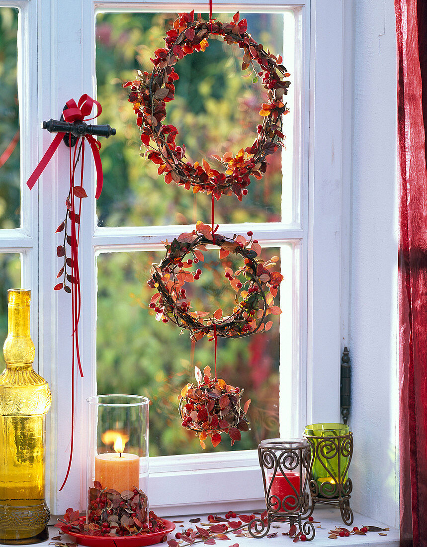 Cotoneaster wreaths in the window