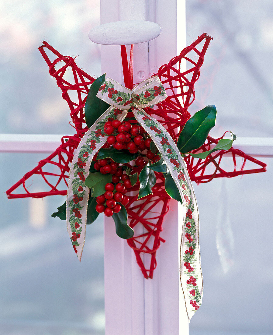 Ilex on a red wicker star, decorated with a ribbon with Ilex motifs