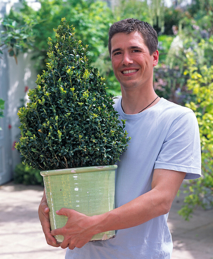 Young man with Buxus (book pyramid)