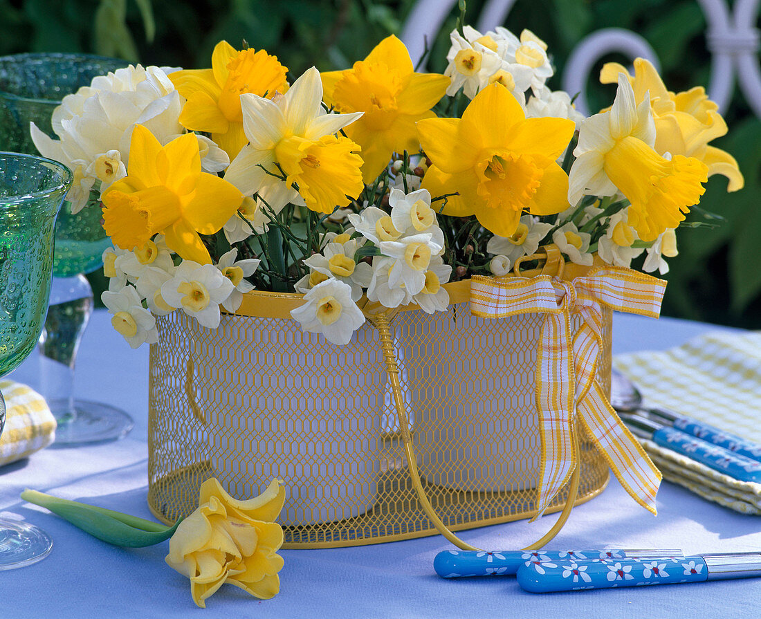 Bouquets of Narcissus 'Carlton', yellow, 'Minnow', 'Las Vegas'