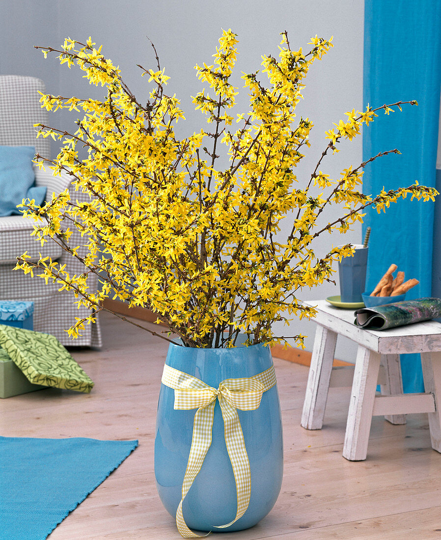 Bouquet of forsythia in turquoise egg vase with ribbon