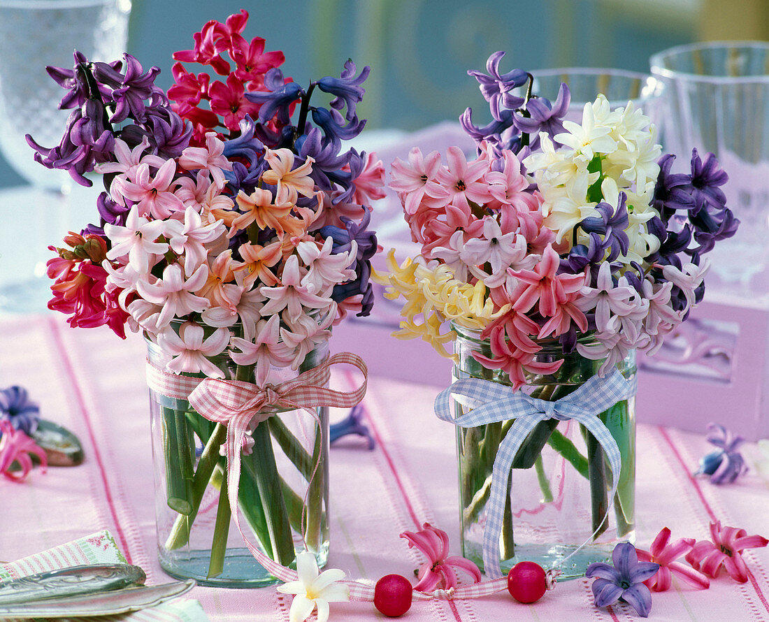 Small Hyacinthus bouquets in glass vases with bows