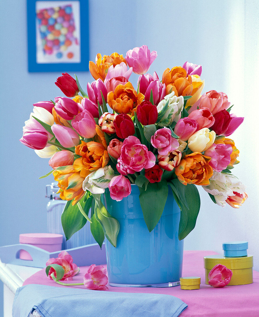 Strauß aus Tulipa (Tulpen) in blauer Vase auf Kommode, Schachteln