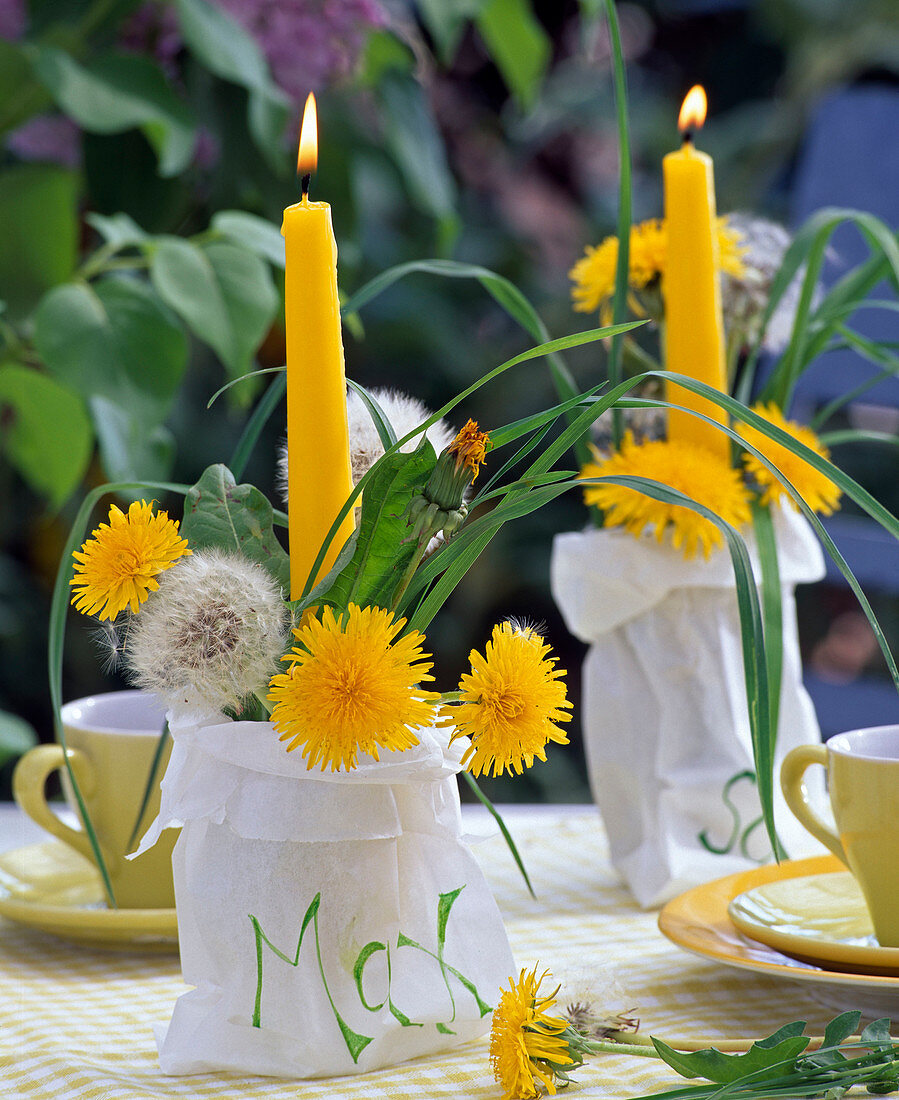 Taraxacum (Löwenzahn) an Kerzenhalter in Papiertüte als Namensschild: 'Max'