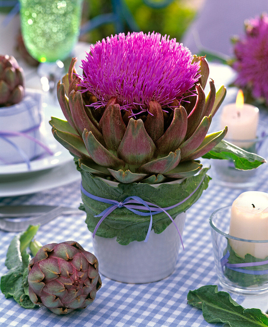 Artischocken - Tischdeko : Cynara scolymus (Gemüse - Artischocken)