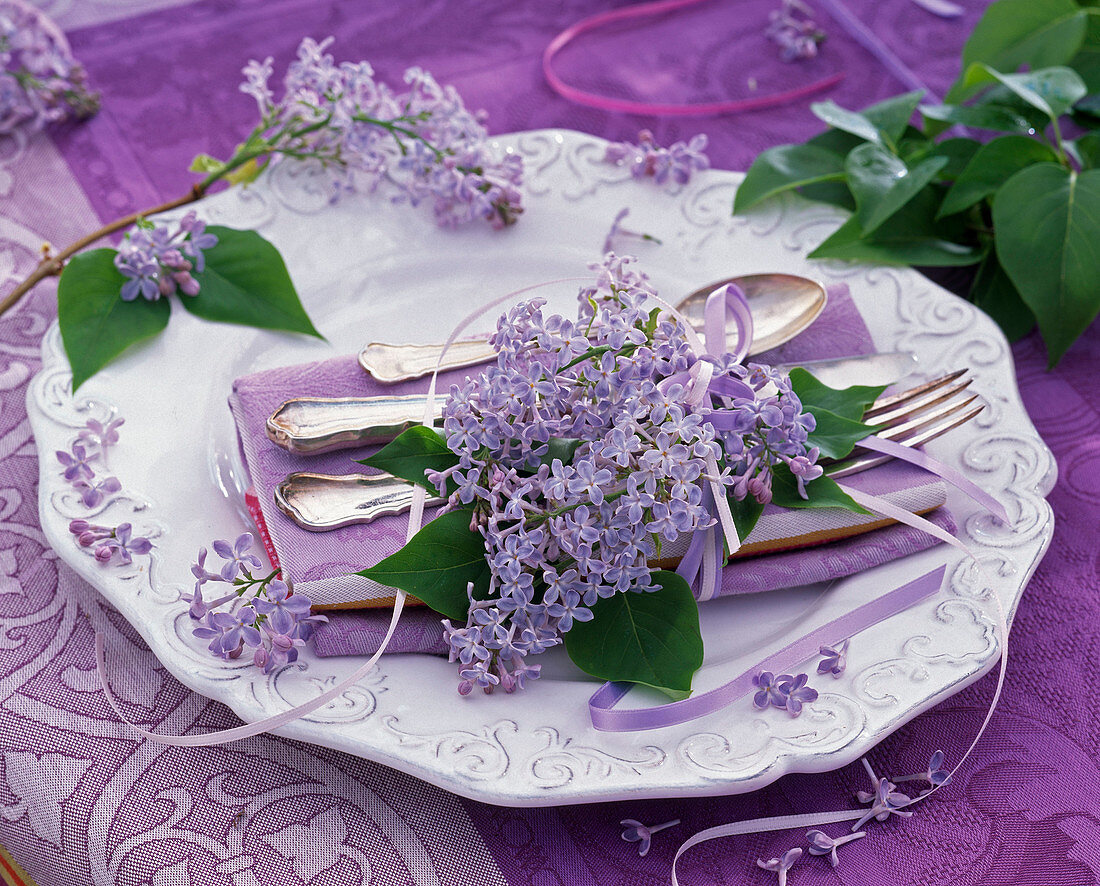 Syringa on white relief plate, napkin, cutlery, purple tablecloth