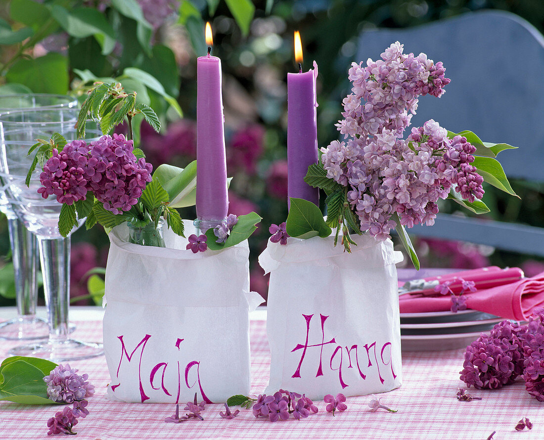 Purple candles in white paper bags with Syringa, Carpinus
