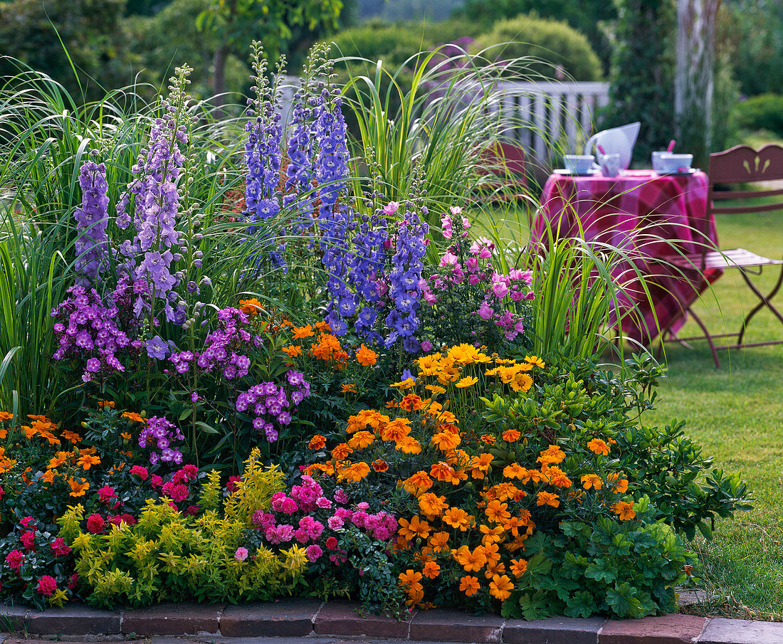 Delphinium (Rittersporn), Phlox (Flammenblumen), Lavatera (Buschmalve)