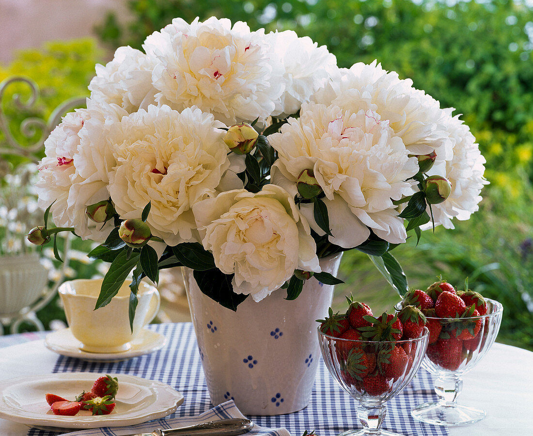 Bouquet of white Paeonia (peony) in blue and white vase,