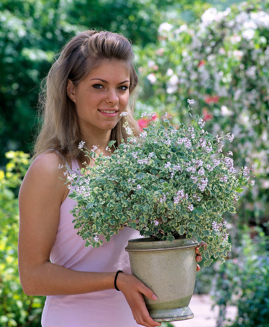 Young woman with Pelargonium fragans 'Variegatum' (scented geranium)