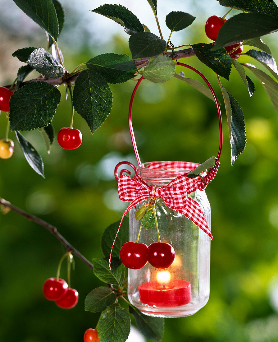Lantern with Prunus decorated on branch of Prunus