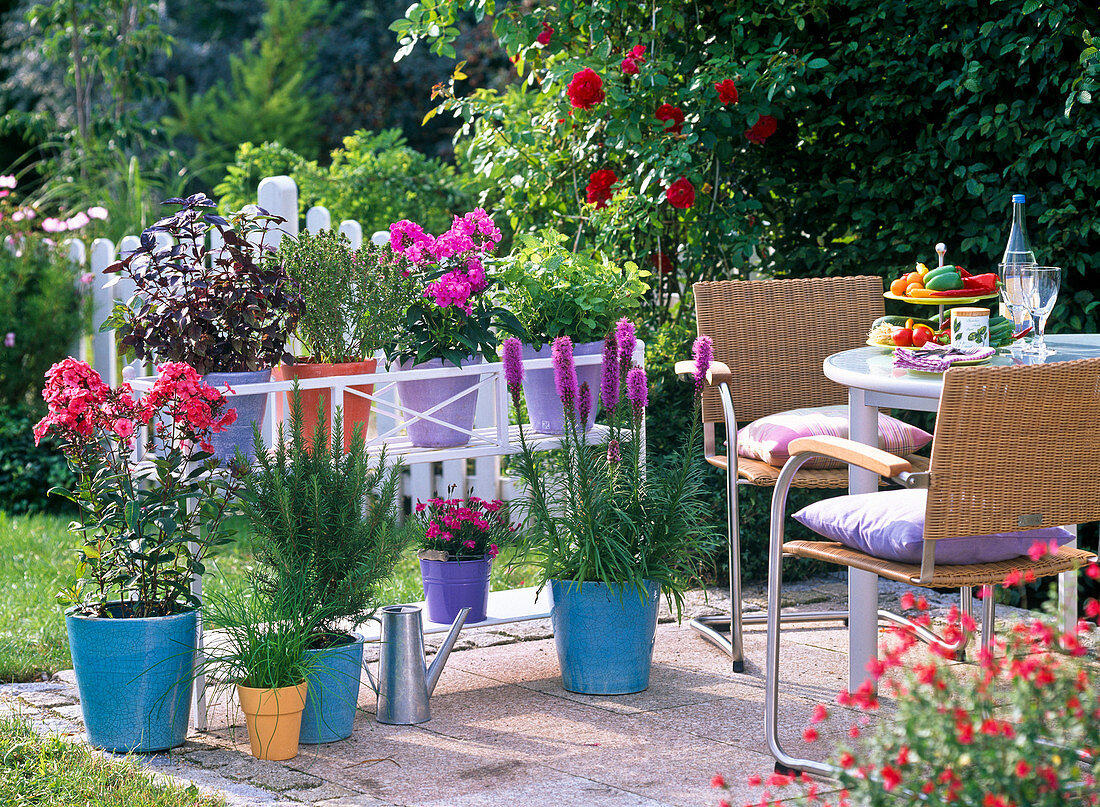 Terrasse mit Stauden und Kräutern