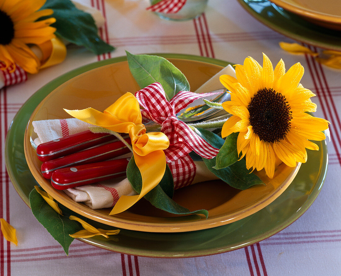 Blossom of Helianthus tied with ribbons at assembly