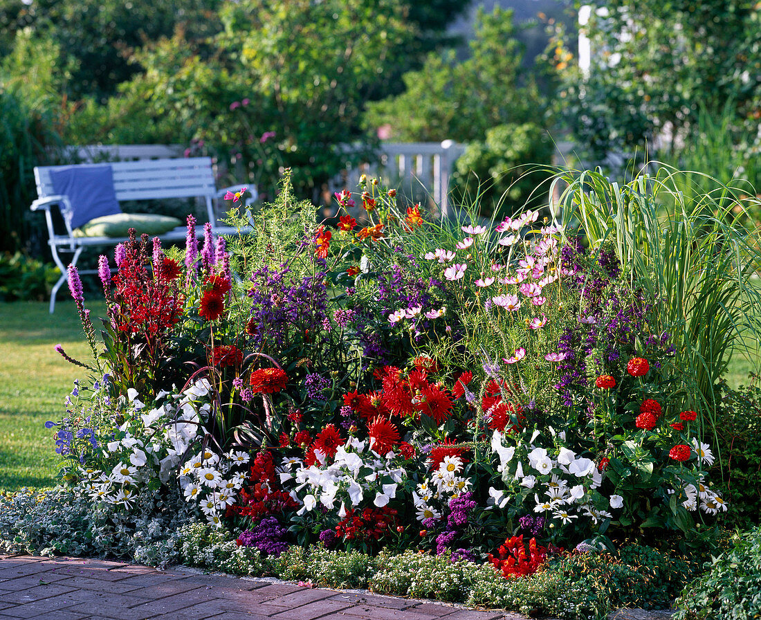 Colorful bed of summer flowers and perennials, Lobelia compliment mix