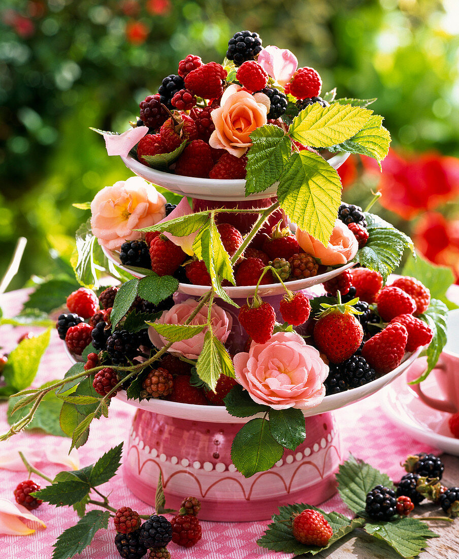 Rubus (blackberries and raspberries) and pink (rose) on Etagere