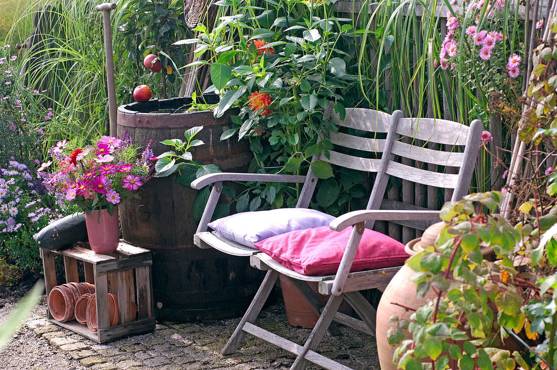 Seating in the cottage garden