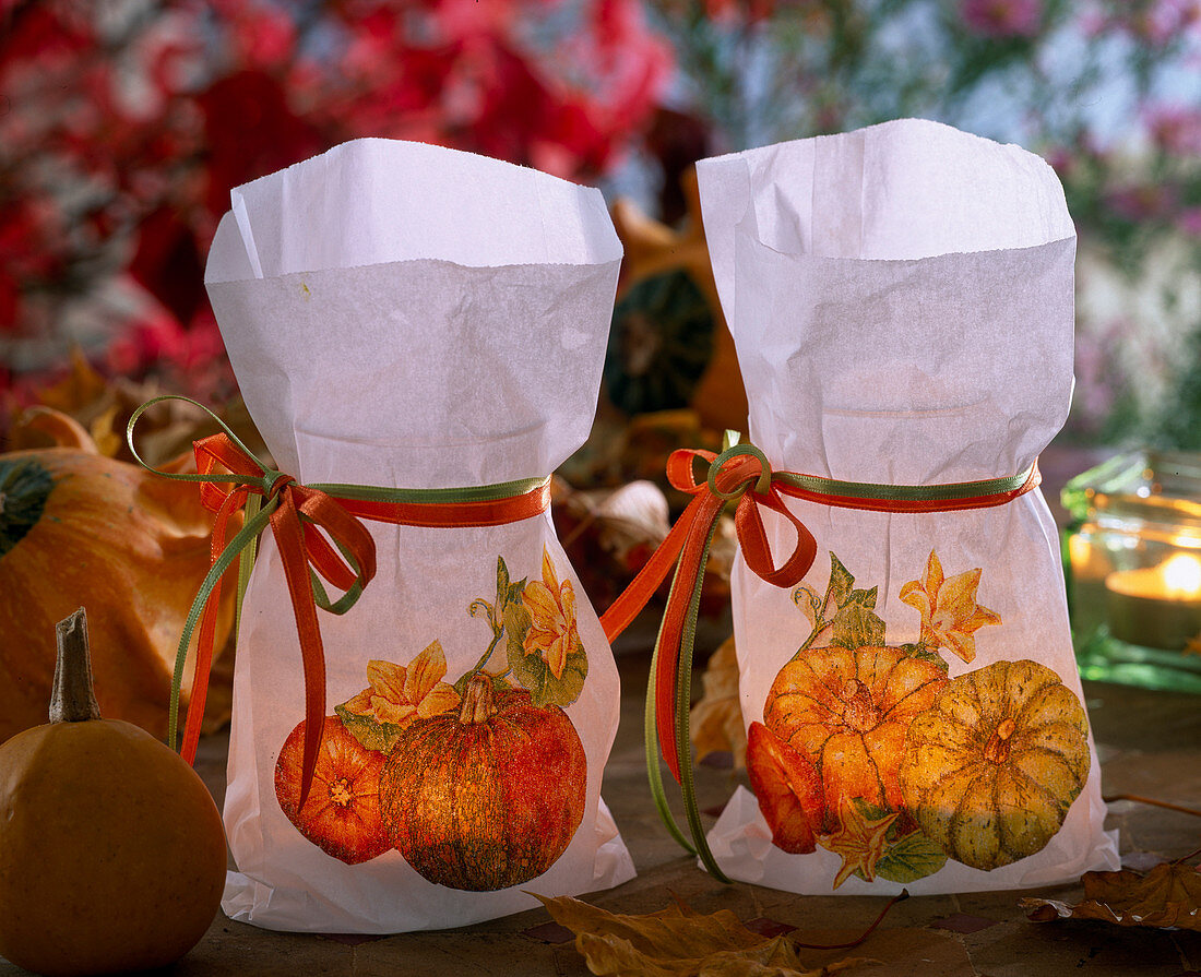 Paper sandwich bags with napkin technique as lanterns