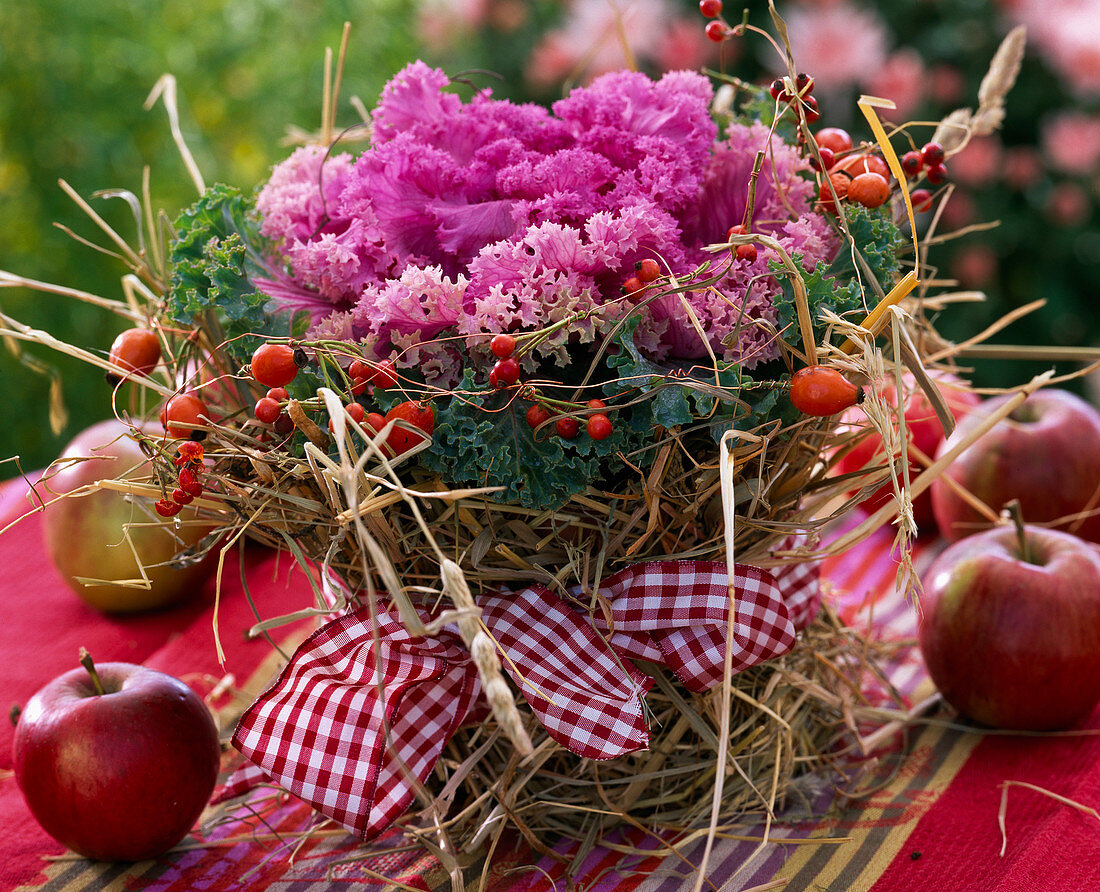 Brassica (cabbage), pot wrapped in straw