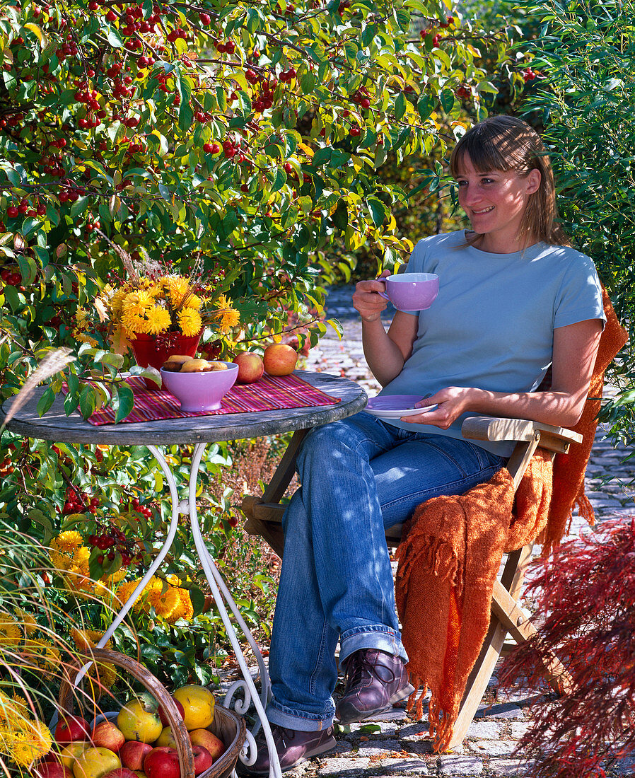 Autumnal seat next to Malus 'Evereste' (ornamental apple tree)