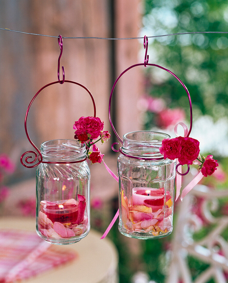 Pink (rose) on and in screw jars as lanterns