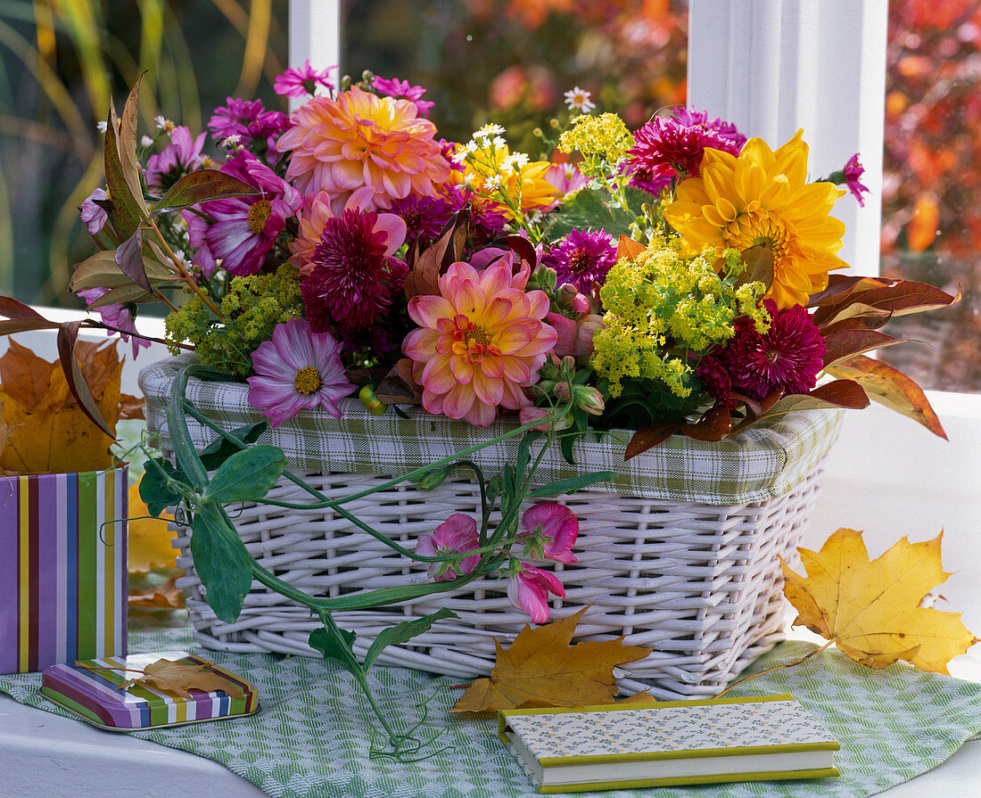 Arrangement with Dahlia, Cosmos, Aster