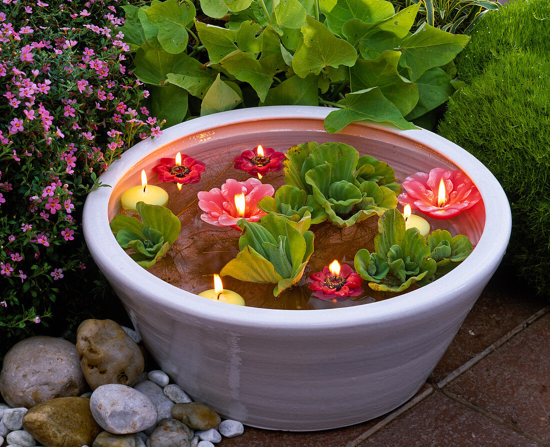 Mini pond with pistia (water salad) and floating candles