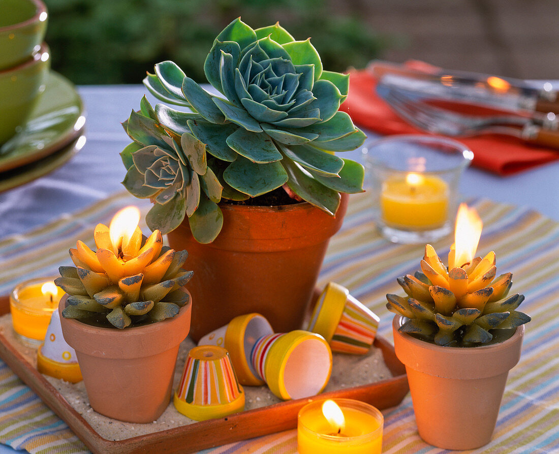 Echeveria in Tontopf, bunte Mini - Tontöpfe, Kerzen