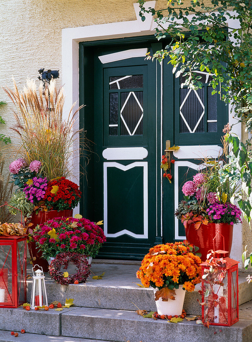 House entrance with chrysanthemum (autumn chrysanthemum)