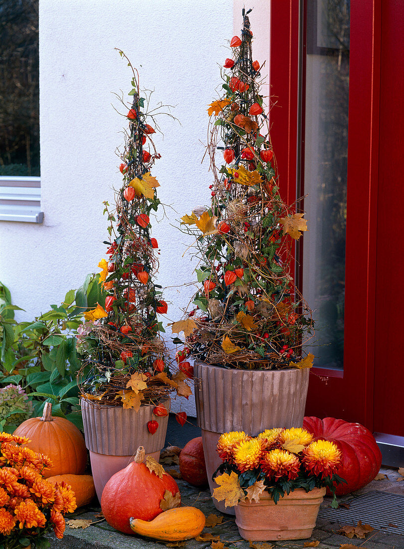 Hauseingang mit Hedera (Efeu) an Rankgerüsten dekoriert mit Physalis