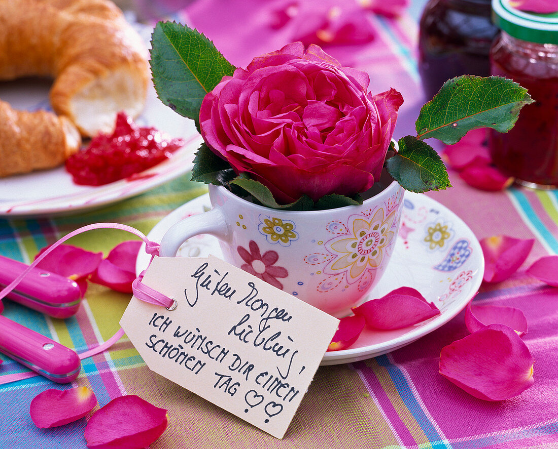Pink (rose) in espresso cup with sign