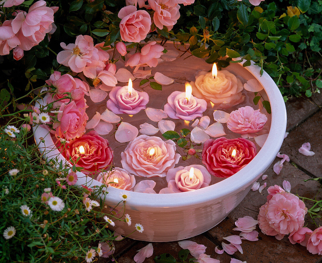 Rosa (Rosen, Blütenblätter) und Schwimmkerzen in Rosen - Form in Schale