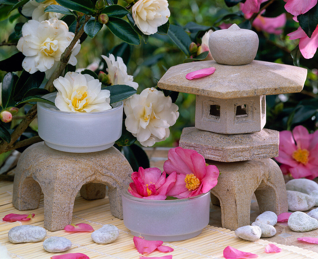 Camellia flowers, Asian pagodas and stone lanterns