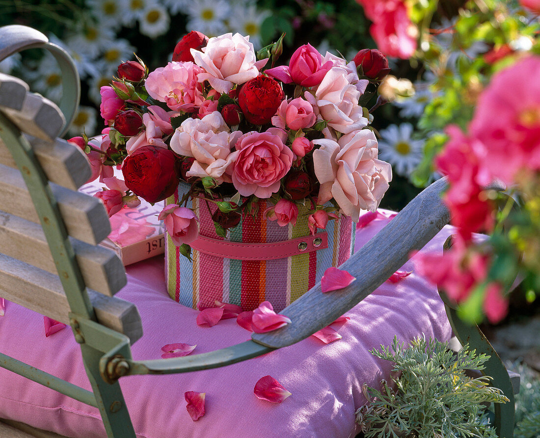 Strauß aus Rosa (Rosen) in Tasche auf dem Stuhl