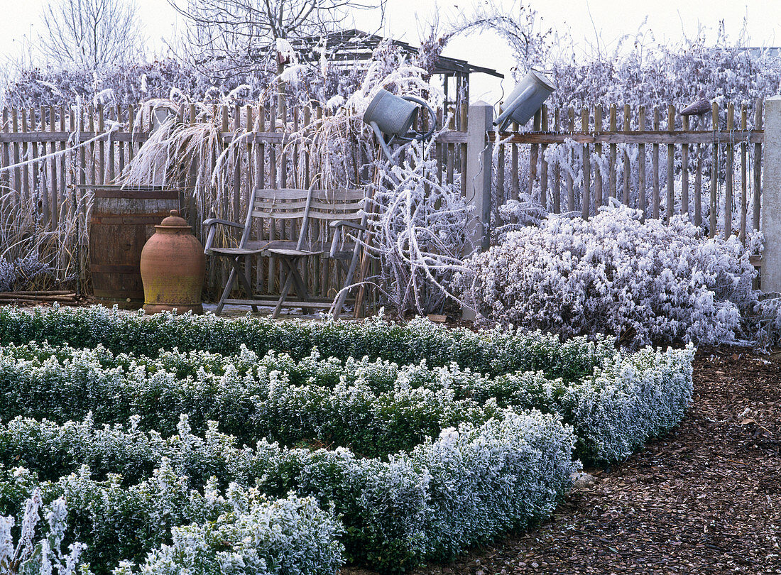 Farmhouse garden in winter