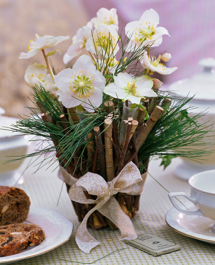 Helleborus niger (Christrosen), Blüten einzeln in Floristenröhrchen