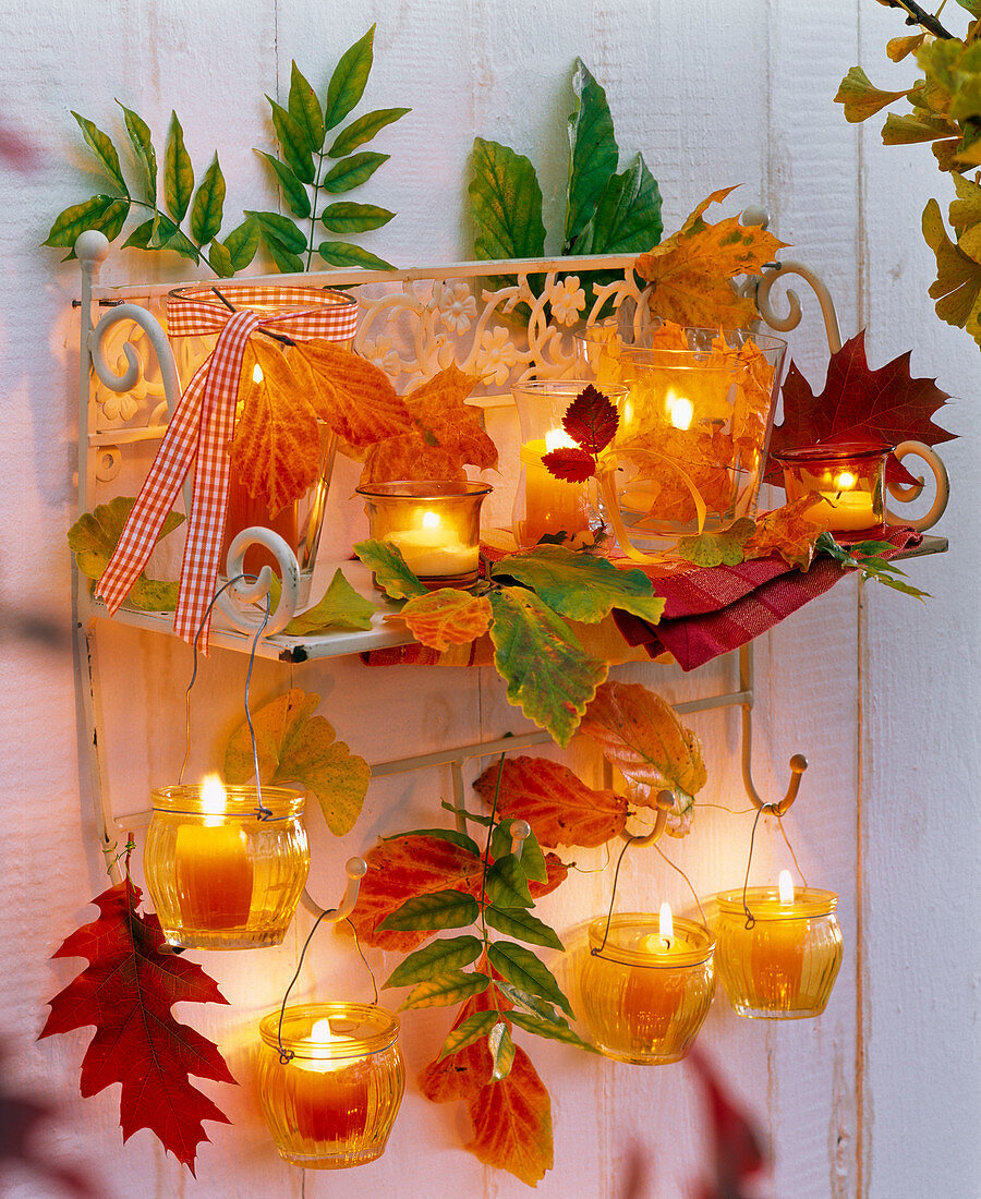 Wall shelf decorated with autumn leaves of Acer, Parrotia