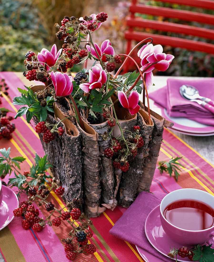 Cyclamen (cyclamen) and rubus (blackberries) arrangement