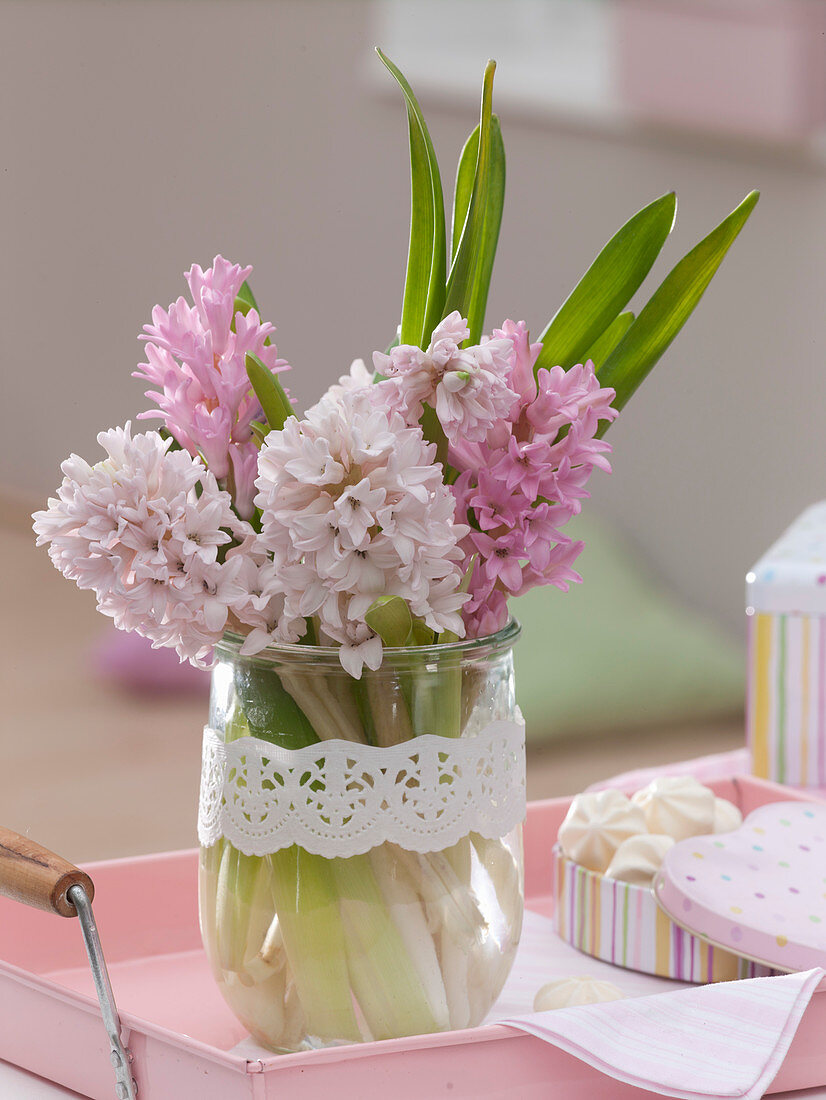 Hyacinthus (hyacinth) in glass, decorated with a cake tip
