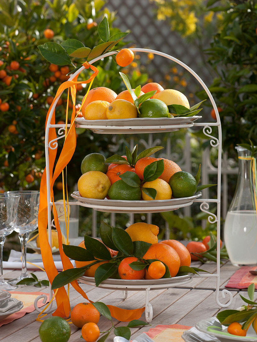 Citrus table decoration