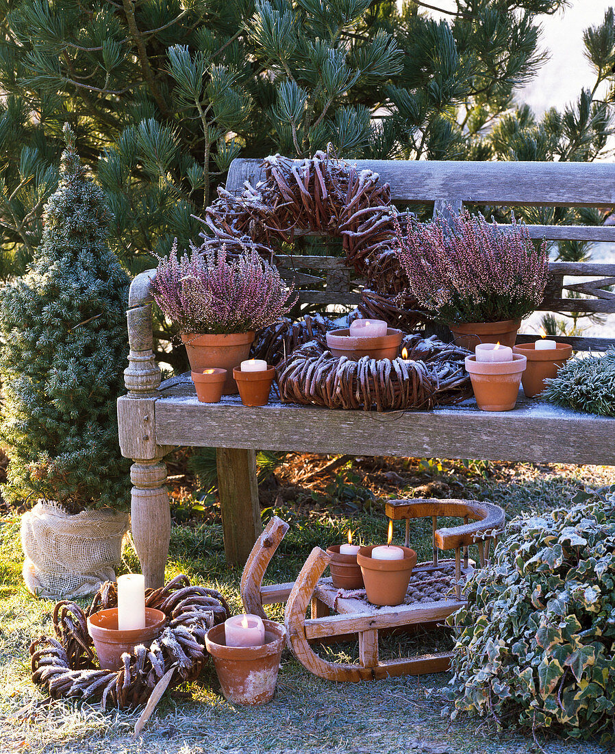 Winterliches Arrangement mit Calluna (Knospenblühender Besenheide)