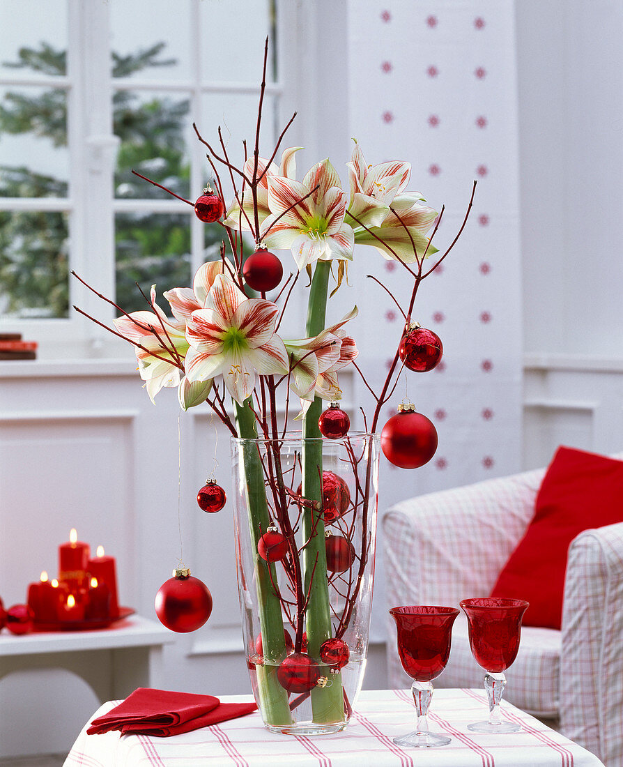 Gesteck aus Hippeastrum (Amaryllis), Zweigen von Cornus (Hartriegel)