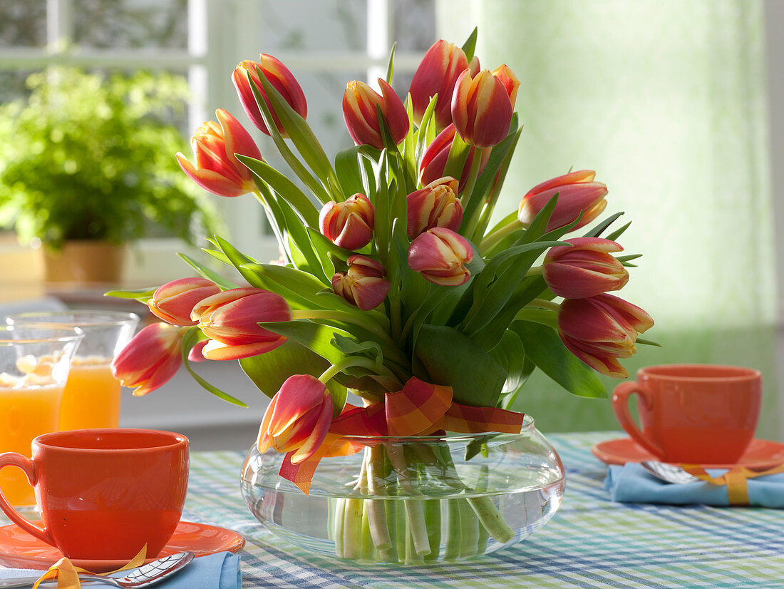 Stehstrauß aus Tulipa 'Brigitta' (Tulpen) in breiter Glasschale