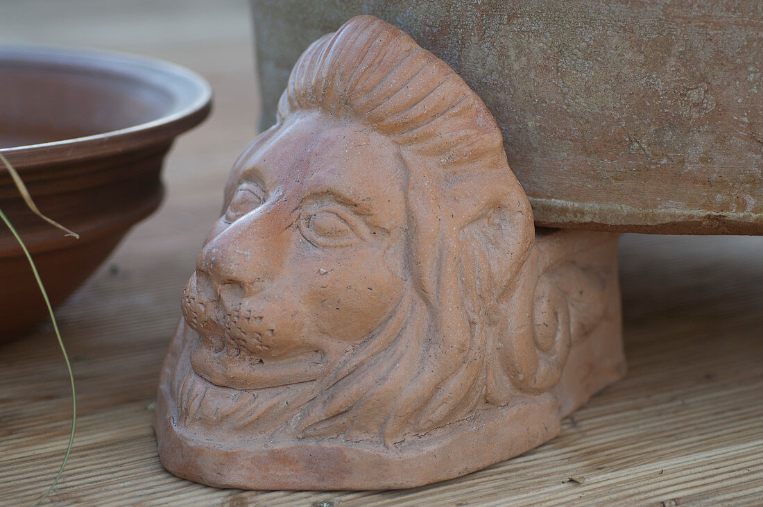 Terracotta Feet 'Lion's Head'