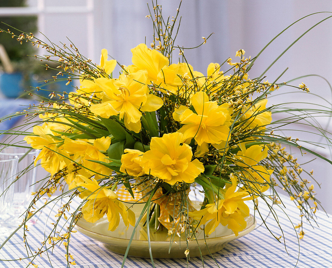Bouquet from Tulipa 'Monte Carlo', Cytisus